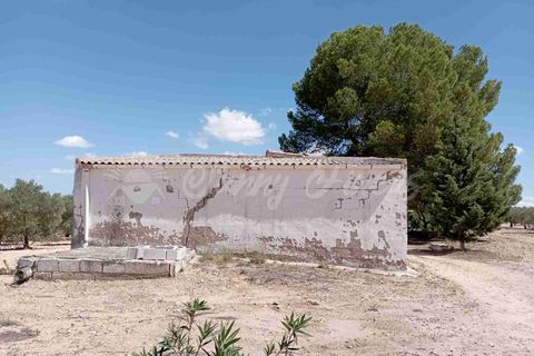 Landejendom i Yecla, Murcia, Yecla - € 49.995 | Ref: SF0390 - foto 16